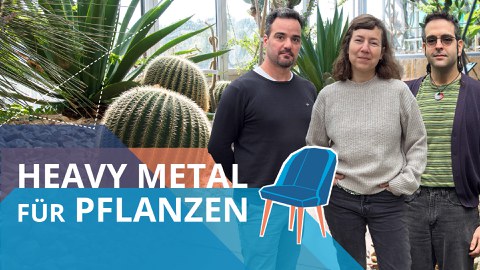 Thumbnail des Youtube Videos