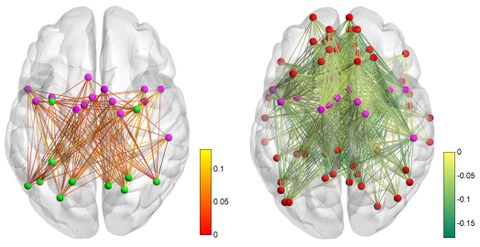 Zunehmende Kommunikation zwischen dem cingulo-opercularen Netzwerk und dem dorsalen Aufmerksamkeitsnetzwerk (links), und die Entkopplung des Ruhezustandsnetzwerks vom cingulo-opercularen Netzwerk (rechts) während kurzer Übungsphasen.