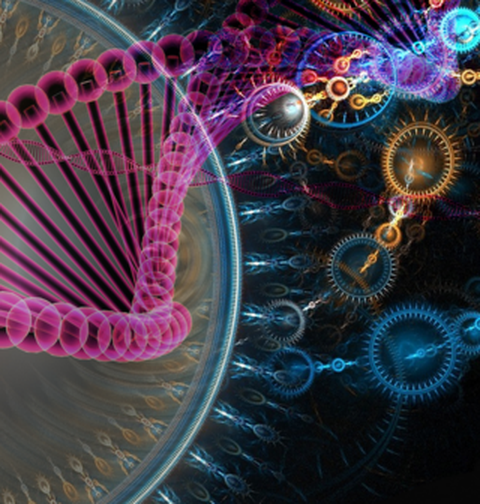 Logo „Future Trends in DNA-based Nanotechnology“