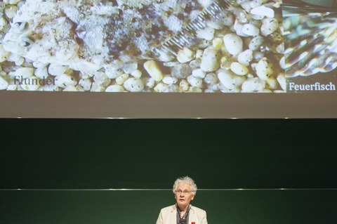 CNV vor ihrer Präsentation