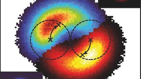 Schema d. Wahrscheinlichkeitsverteilung zweier odd-diffusiver Teilchen (gestrichelte Kreise) einige Zeit nach ihrer Kollision. Charakteristisch ist, dass sich die Teilchenzentren (schwarze Kreuze) dabei Im Mittel umeinander, statt voneinander weg bewegen.
