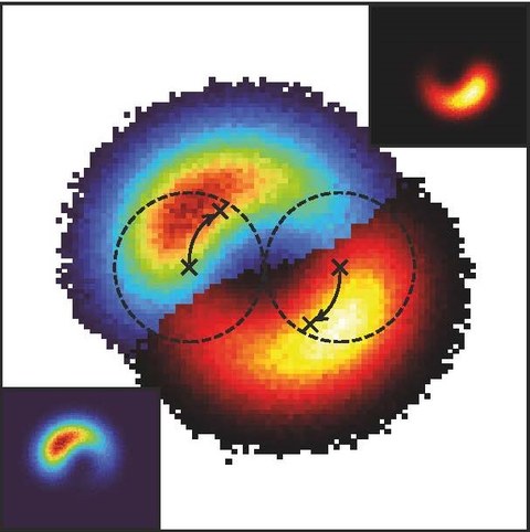 Schema d. Wahrscheinlichkeitsverteilung zweier odd-diffusiver Teilchen (gestrichelte Kreise) einige Zeit nach ihrer Kollision. Charakteristisch ist, dass sich die Teilchenzentren (schwarze Kreuze) dabei Im Mittel umeinander, statt voneinander weg bewegen.
