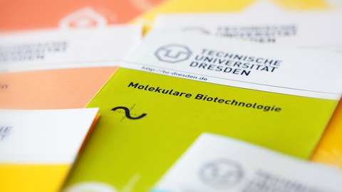 Studiengänge & Lehrangebot