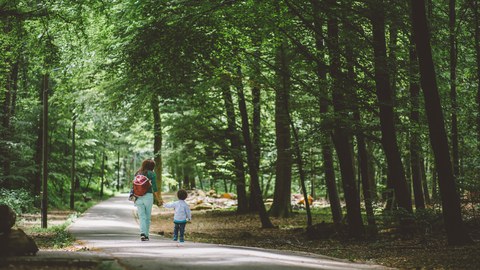 Waldweg_Generationen