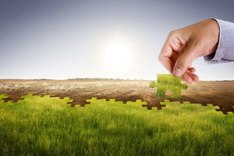 Eine Hand hält ein Puzzleteil über eine Wüste, die mit Gras in Form eines Puzzles bedeckt wird.