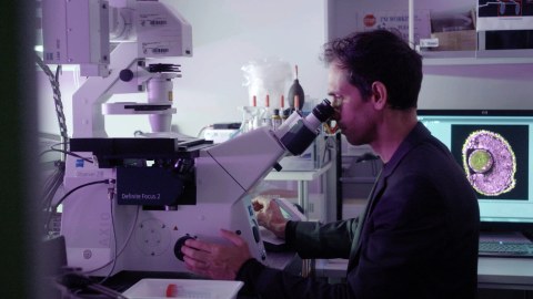 Ein junger Forscher sitzt in einem Labor und bedient ein großes Mikroskop, durch das er blickt