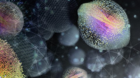 Exzellenzcluster PoL