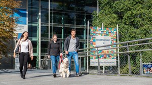 Foto: Drei Personen laufen über eine Brücke. Eine davon ist blind und läuft mit ihrem Blindenhund