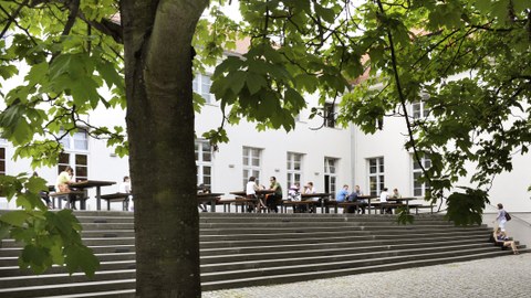 Das Foto zeigt den Außenbereich der "Alten Mensa" der TU Dresden. Dort stehen einige Tische, an denen Studierende sitzen. Im Vordergrund steht ein Baum.