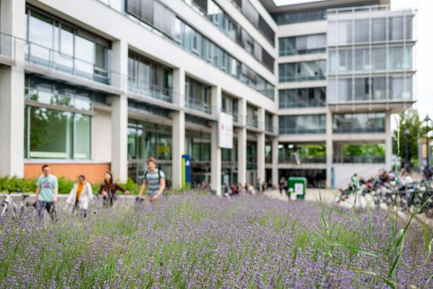 Foto der SLUB in Dresden