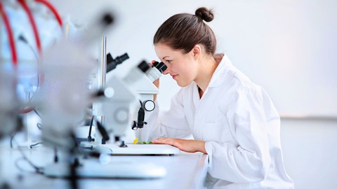 Studentin Labor