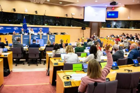 Europäisches Abgeorndete im Europäischen Parlament bei einer Abstimmung