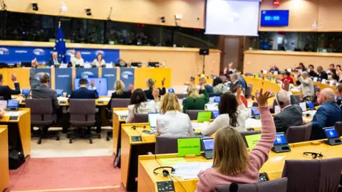 Europäisches Abgeorndete im Europäischen Parlament bei einer Abstimmung