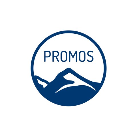 Logo PROMOS consult Projektmanagement, Organisation und Service GmbH