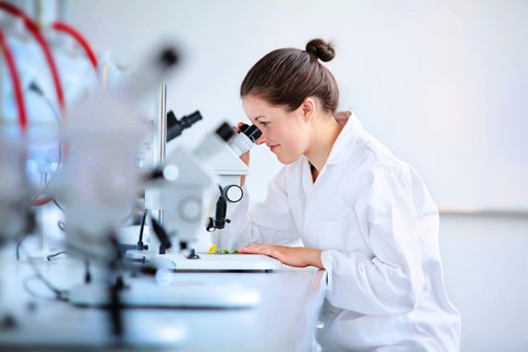 Studentin Labor