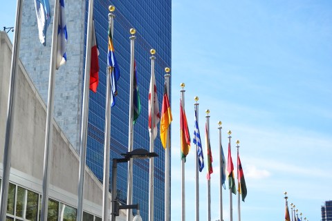 flags in front of a office building