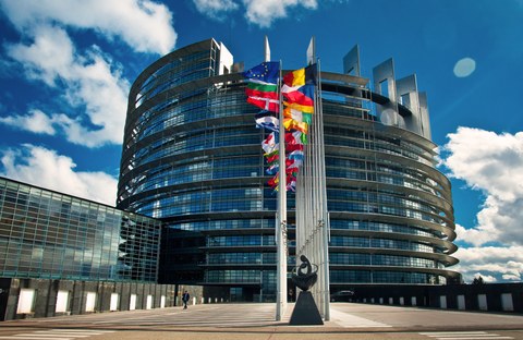 The photos show flags in front of the European Parliament.
