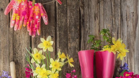 Gummistiefel mit Frühlingsblumen vor Holzwand