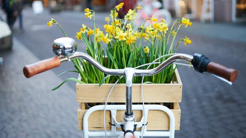 Fahrrad mit gelben Narzissen im Fahrradkorb aus Weiden.