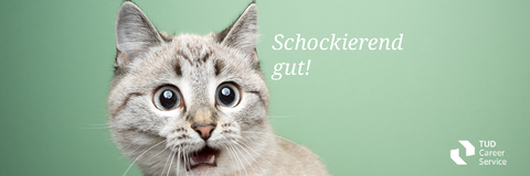 funny cat looking shocked with mouth open portrait on green background funny cat looking shocked with mouth open portrait on green background 