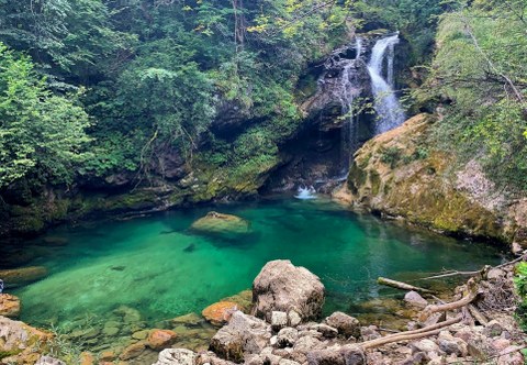 turquoise green pond in the woods with a waterfall