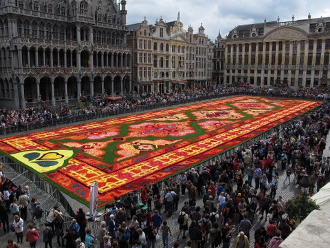 brightly coloured flower carpet on market square