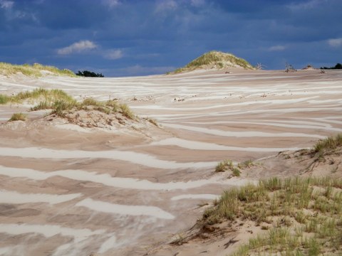 Sandy dunes with some grasses
