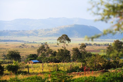 friedliche Landschaft im Rift Valley