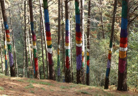 In Regenbogenfarben bemalte Baumstämme.