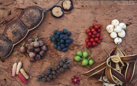 various fruit on a table