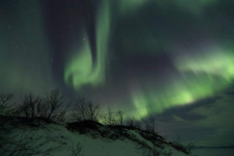 Nordlichter über Winterlandschaft