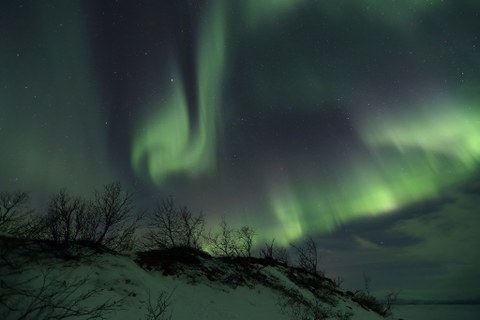 Northern lights above a wintery landscape