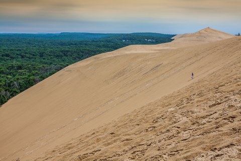 A small human figure is visible on a huge sand dune, with a forest on one side of the mass of sand