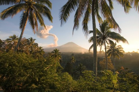 Palmen und Wald, im Hintergrund ein Vulkan