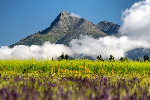  Berg Kriváň in der Hohen Tatra