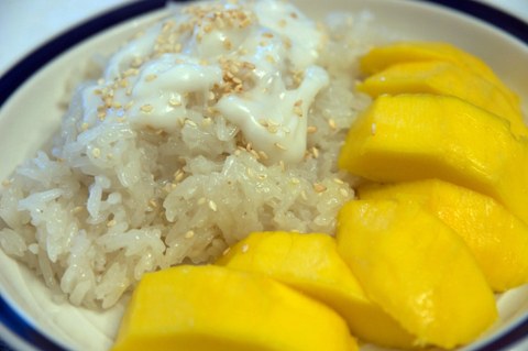 sticky rice with coconut topping and cut up Mango