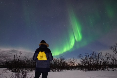 TUD-Studierender steht in einer nächtlichen verschneiten Landschaft und betrachtet die Nordlichter, die grün durch den Himmel wehen.