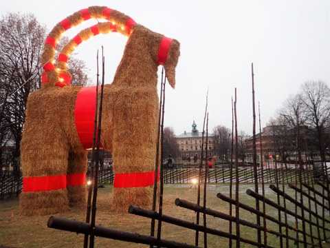 Gävlebocken - eine riesige Strohziege, umgeben von Zäunen