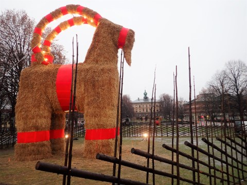 Gävlebocken - a giant straw goat surrounded by fences