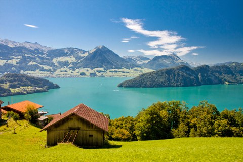 alpine pasture with a lake view