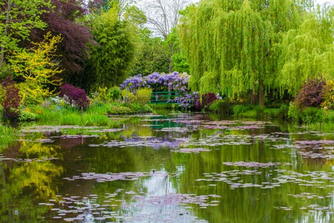 Ein Teich mit Seerosen, von Trauerweiden gesäumt und mit einer kleinen grünen Brücke
