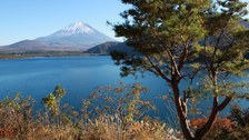 Japan_Fuji-san Fünf Seen_2019_Doro Breyer.JPG