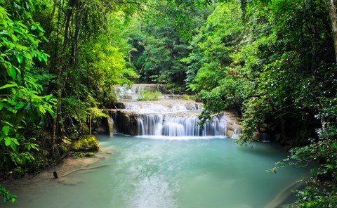 Wasserfall im Wald