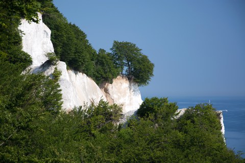 Kreideküste-Felsen