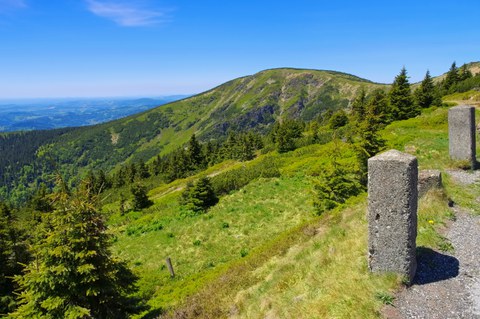 Grün bewaldeter Mittelgebirgshügel