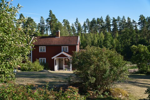 rotes Holzhaus im Wald