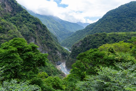 bewaldetes, tiefes Flusstal