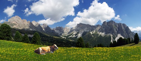 Dolomitenalm