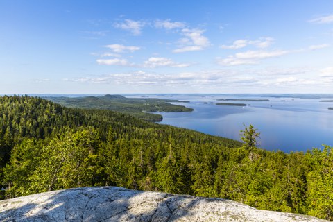 Seen und Wälder