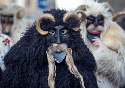 Menschen in Tierkostüm
